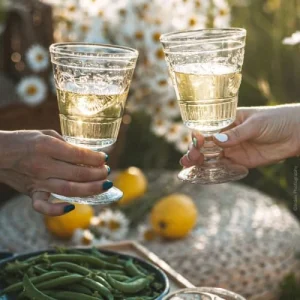 La Rochère Verre à Pied Mécanique En Verre Transparent – Lot De 6 Livraison gratuite 9