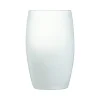 achat pas cher Luminarc Verre Blanc Givré 36cl 22